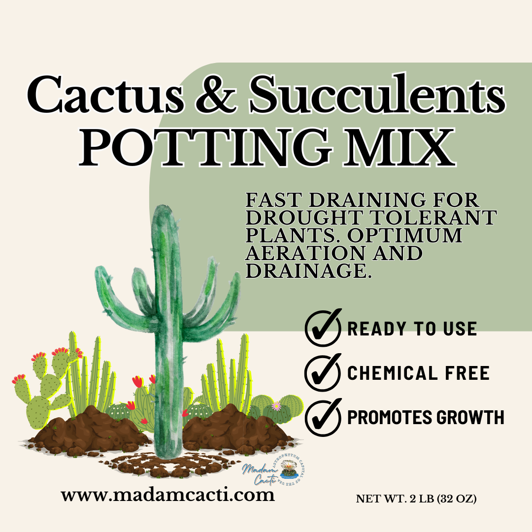 Seed Starting Mix For Cactus & Succulents 1Lb — Madam Cacti