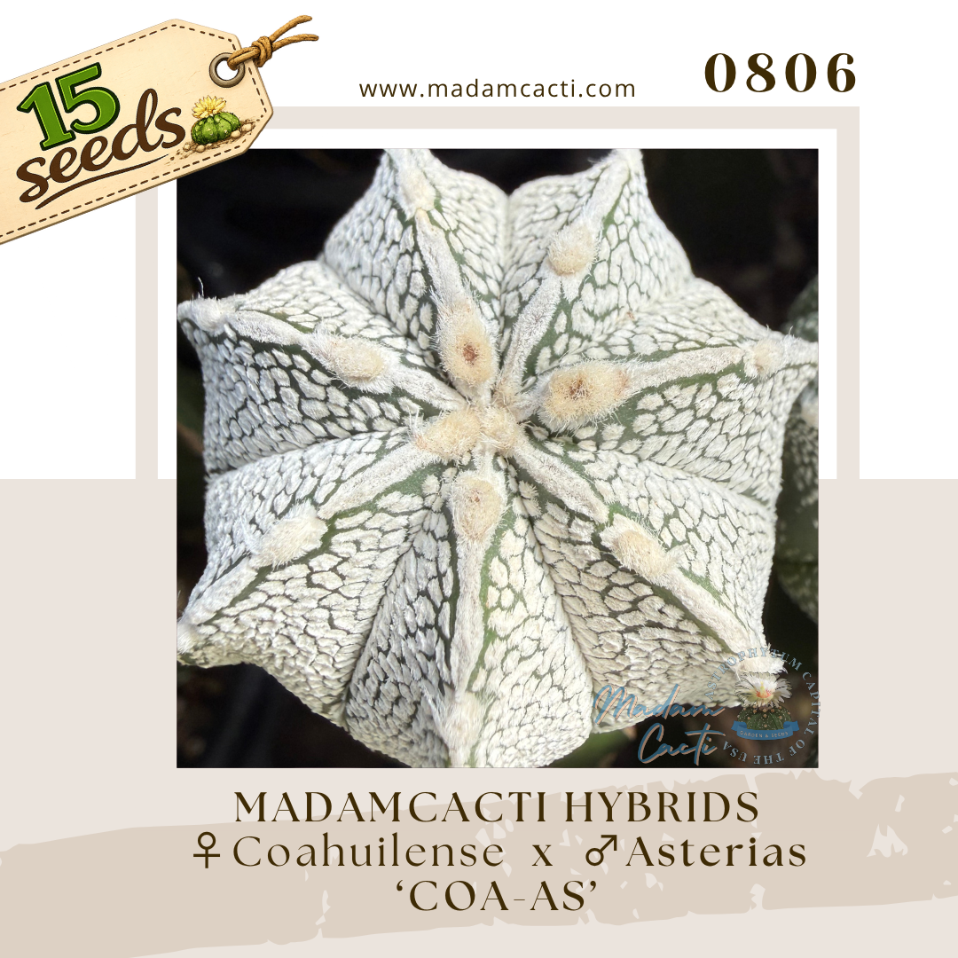 Seed Listing - Astro Hybrid (2).png