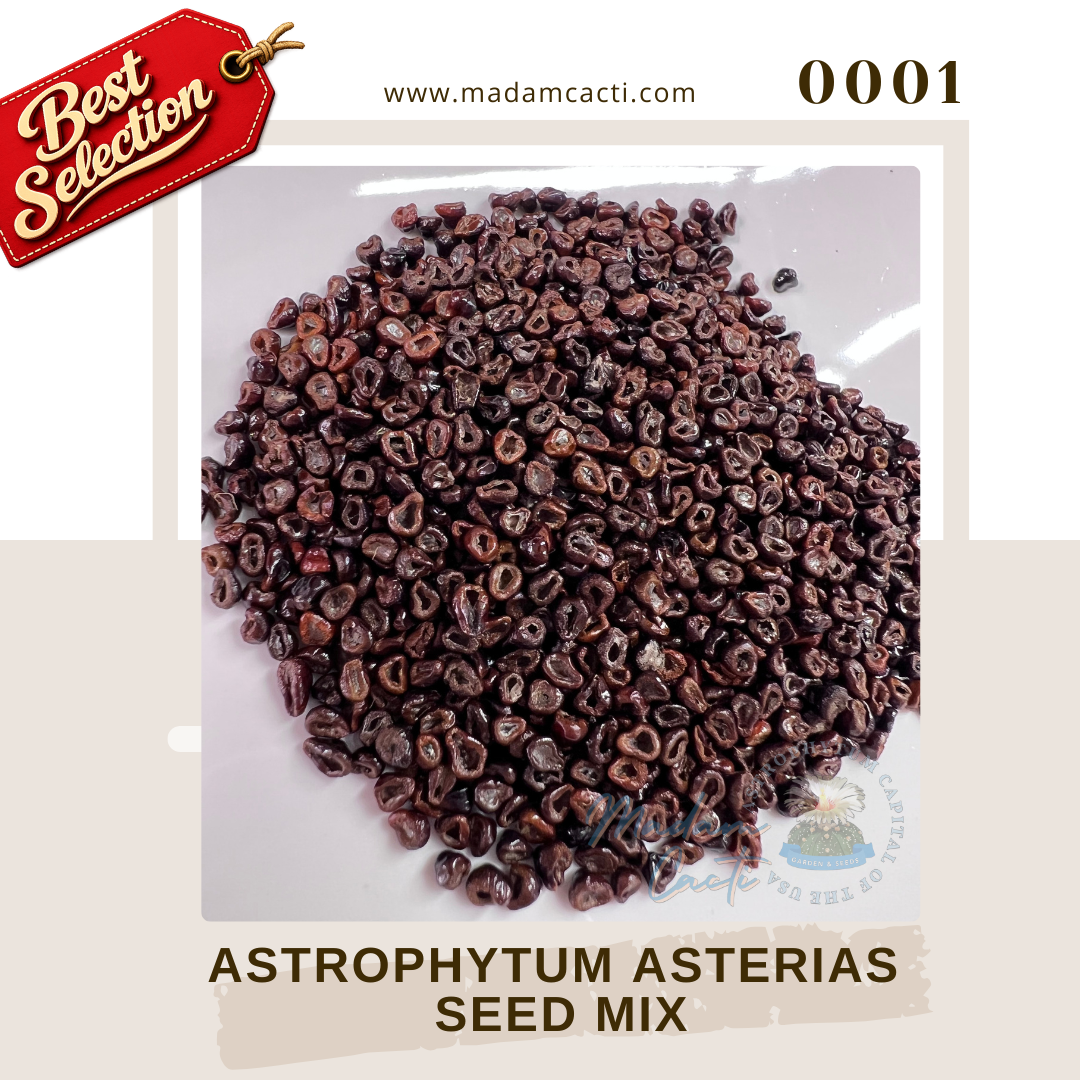 SEED MIXES (6).png