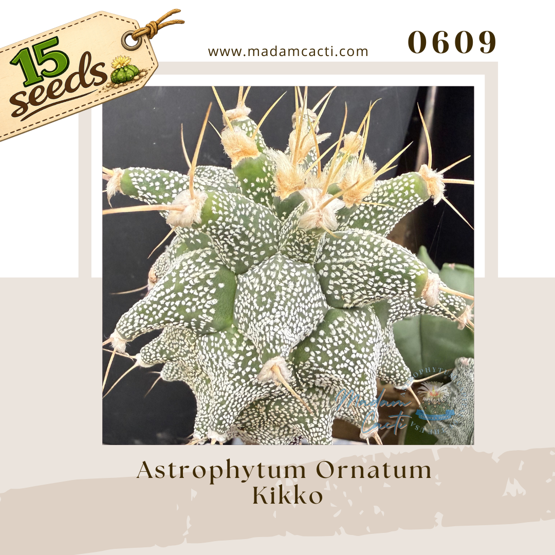 Seed Listing - Ornatum (2).png