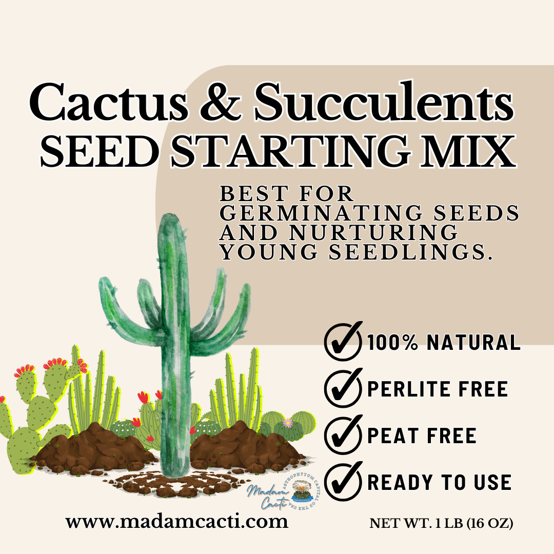 Seed Starting Mix For Cactus & Succulents 1Lb  Madam Cacti
