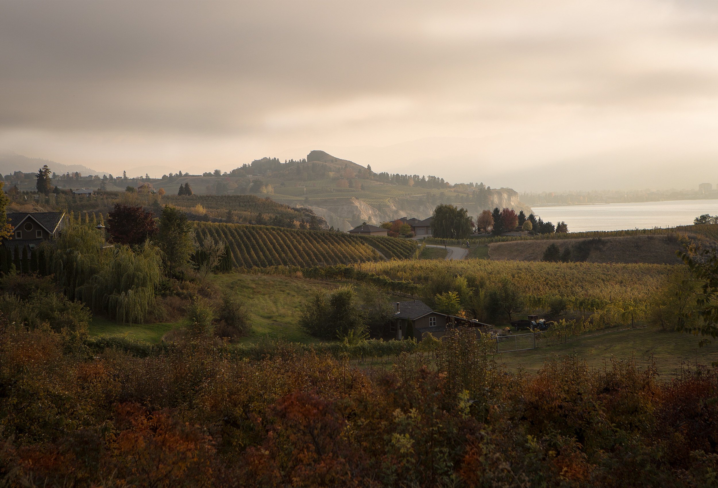 naramata-views-3.jpg