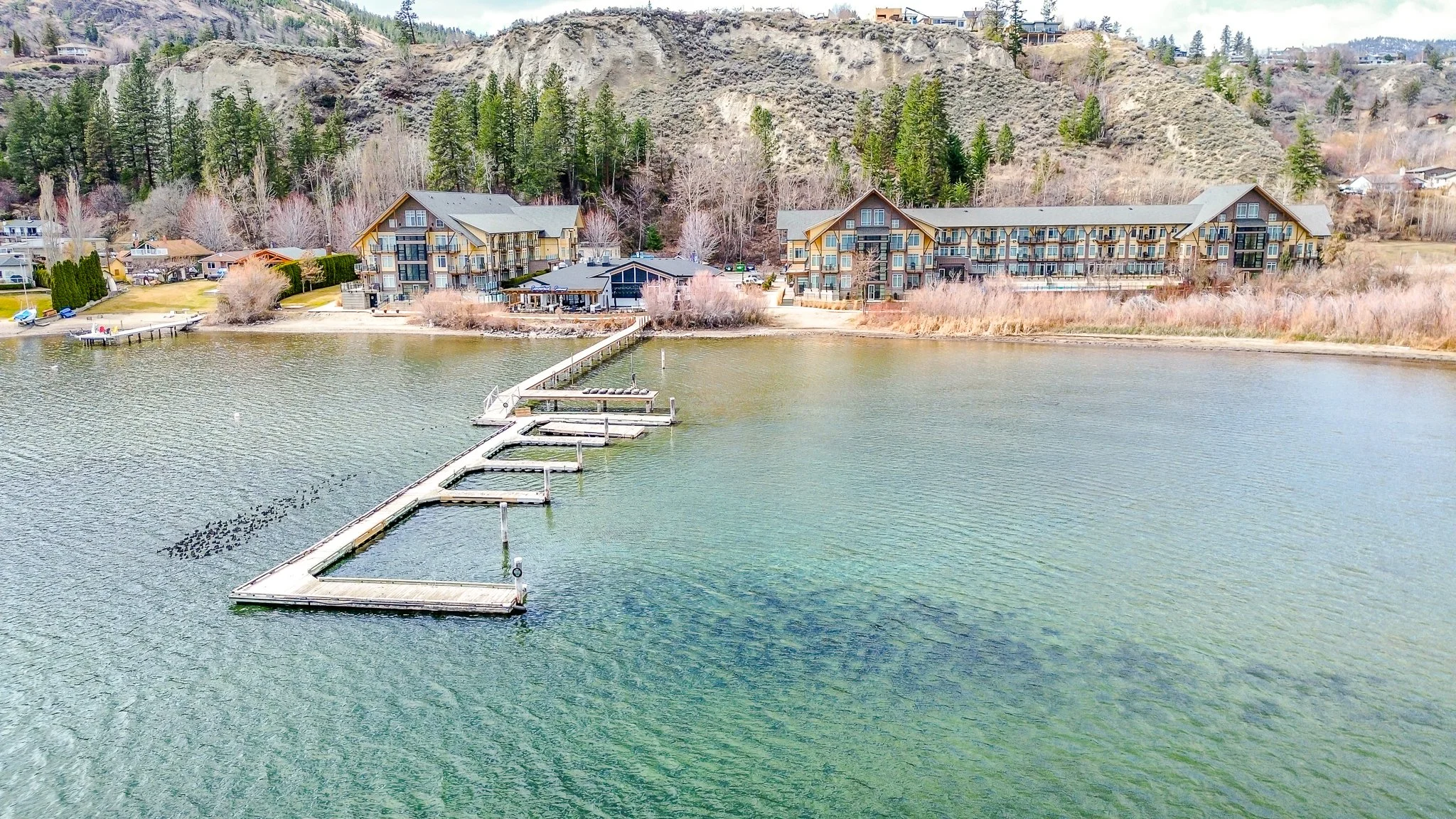 dji_fly_20250318_130250_810_1742328198066_photo_optimized.jpg