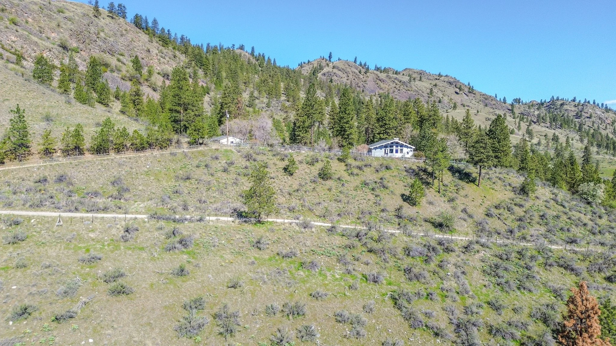 DJI_0980.jpg
