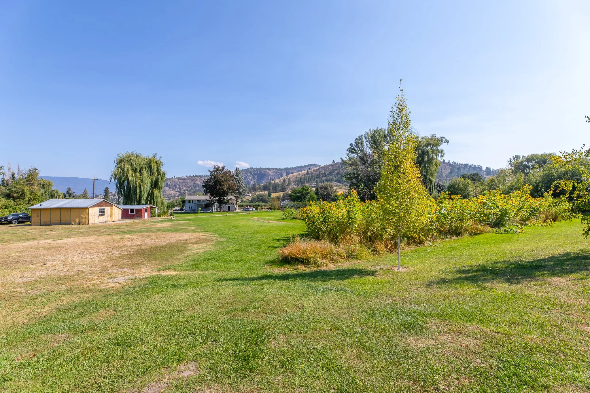 BV9A9974-HDR.jpg