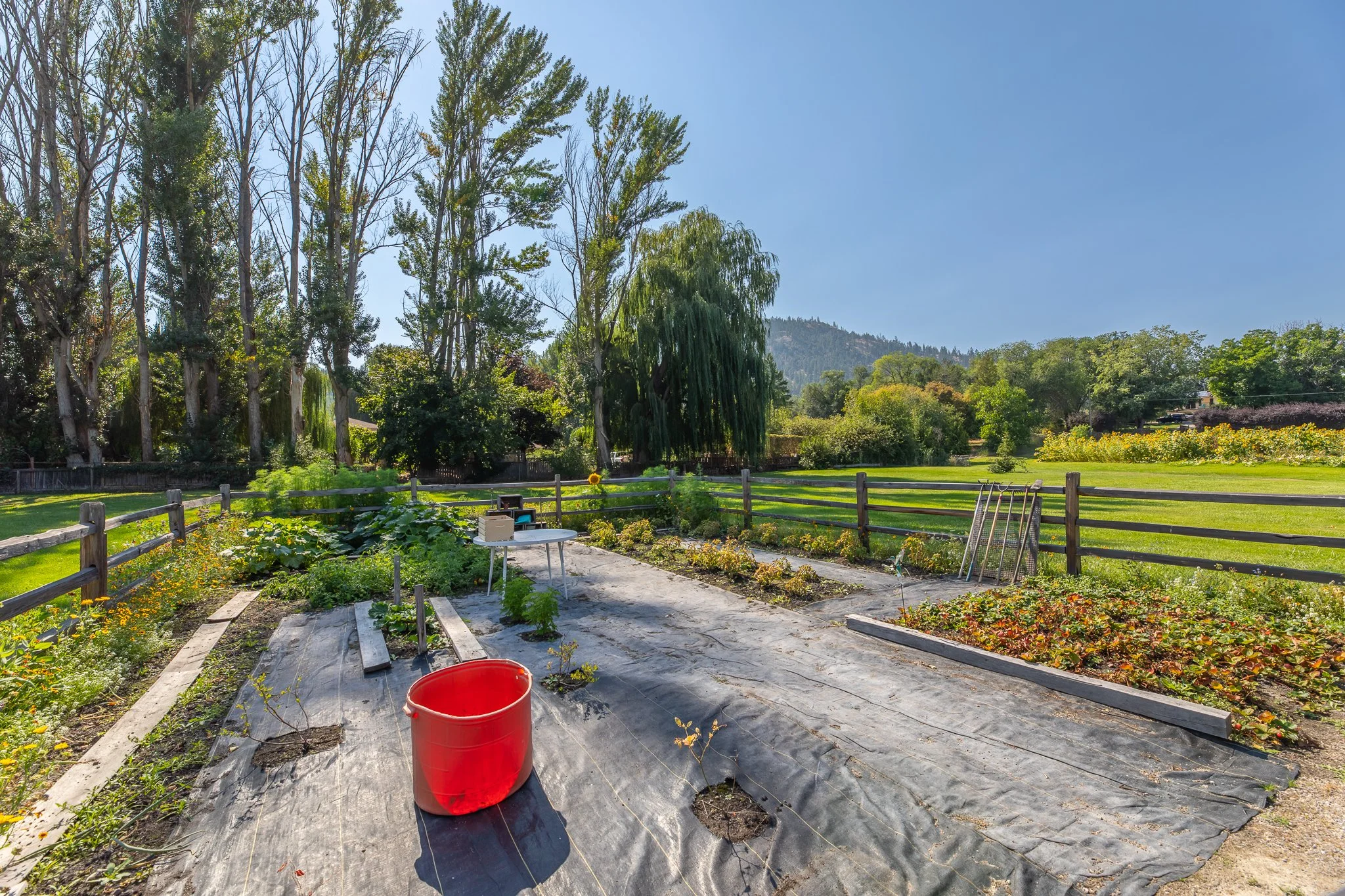 BV9A9949-HDR.jpg