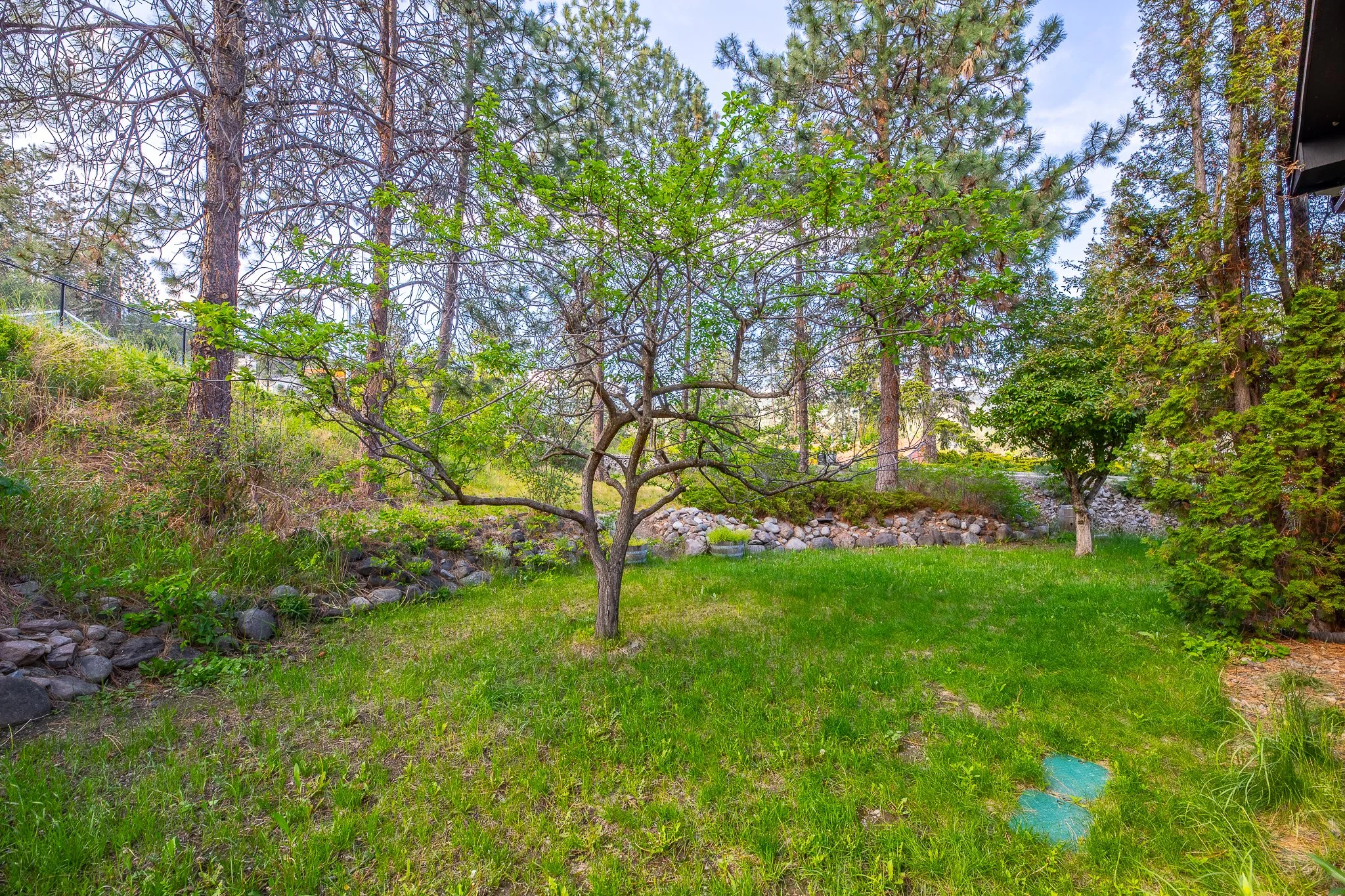 BV9A4558-HDR.jpg