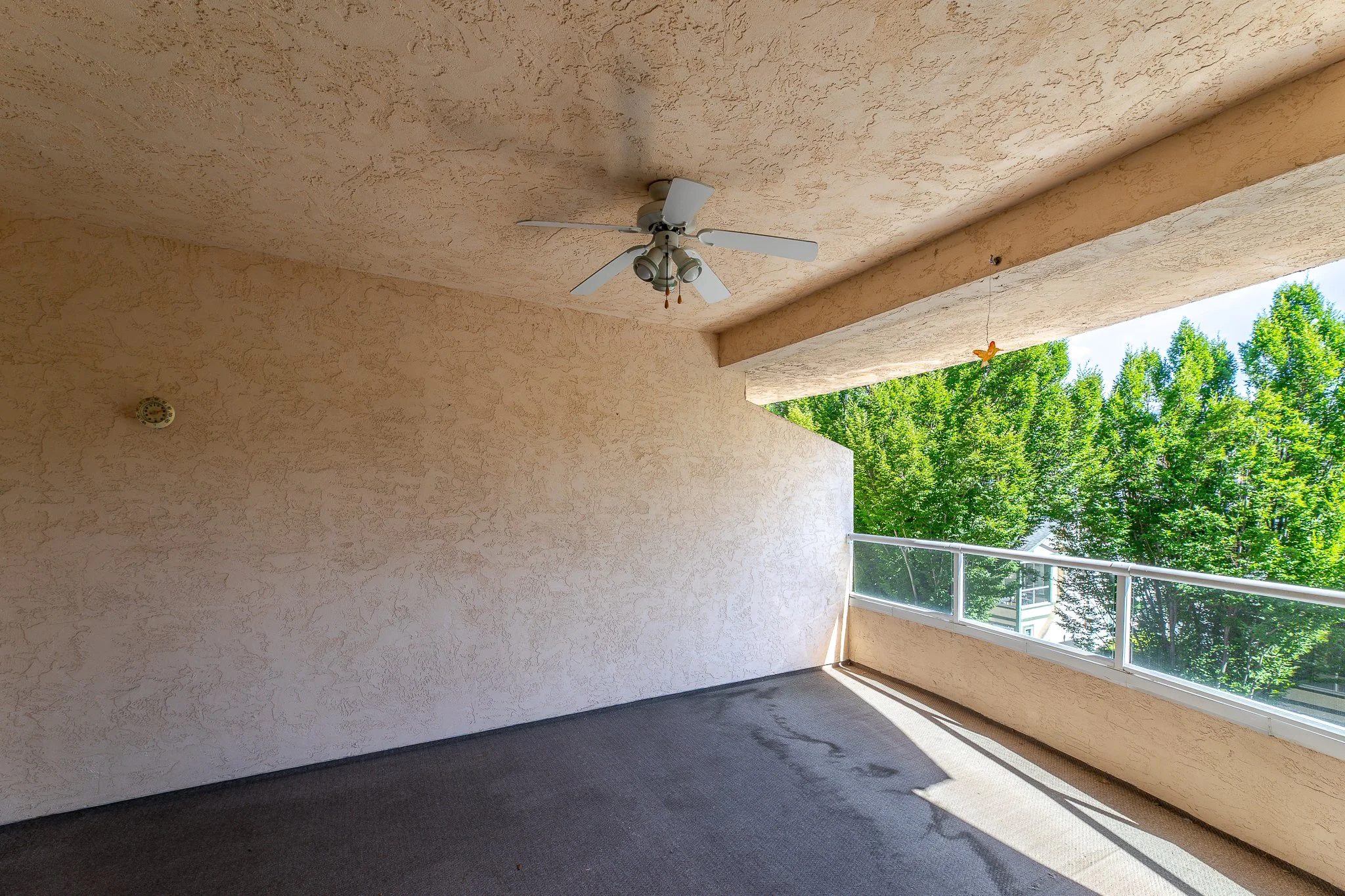 BV9A8233-HDR.jpg