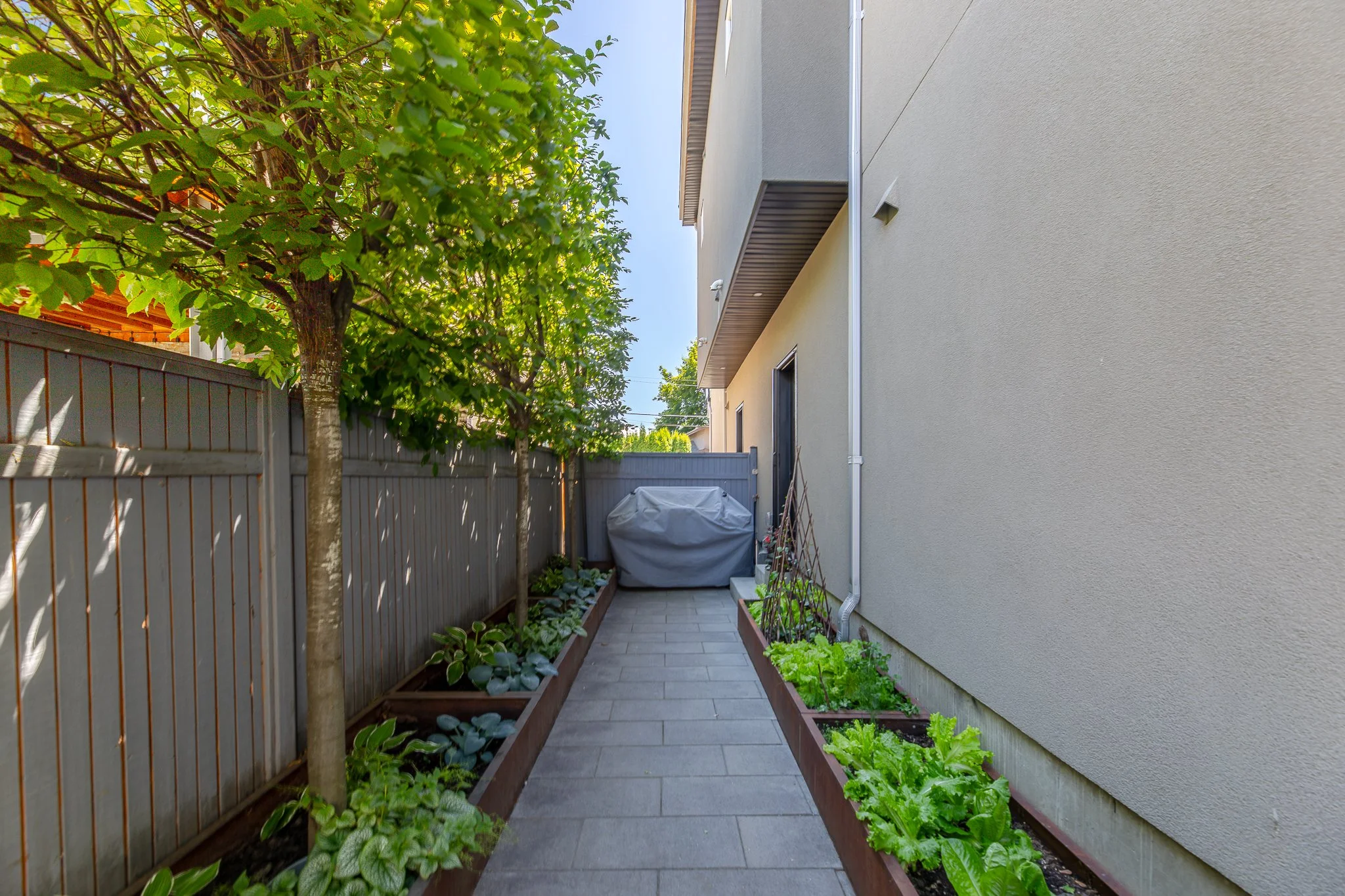 BV9A9501-HDR.jpg