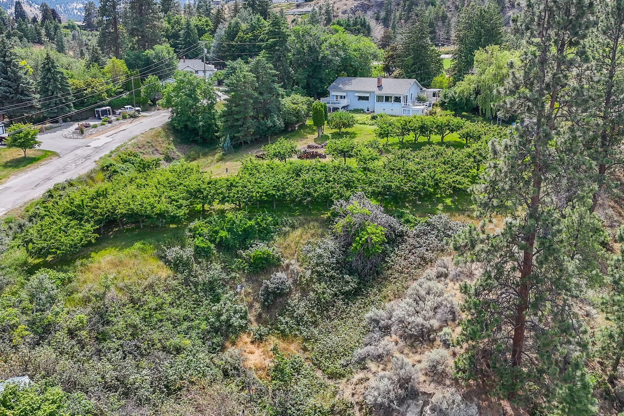 DJI_20260703145649_0055_D.jpg