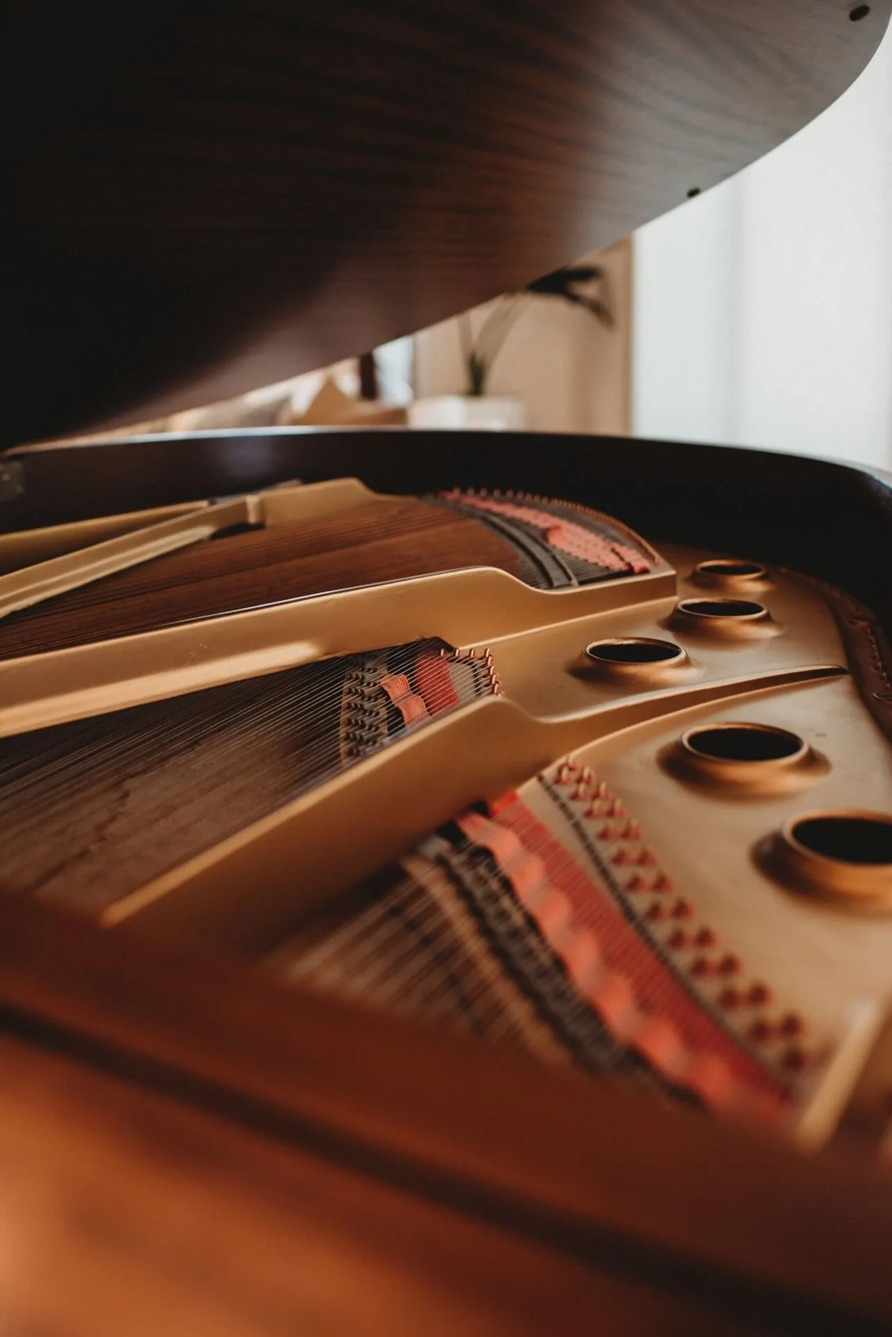 Labode Design Sept2022-57.jpg