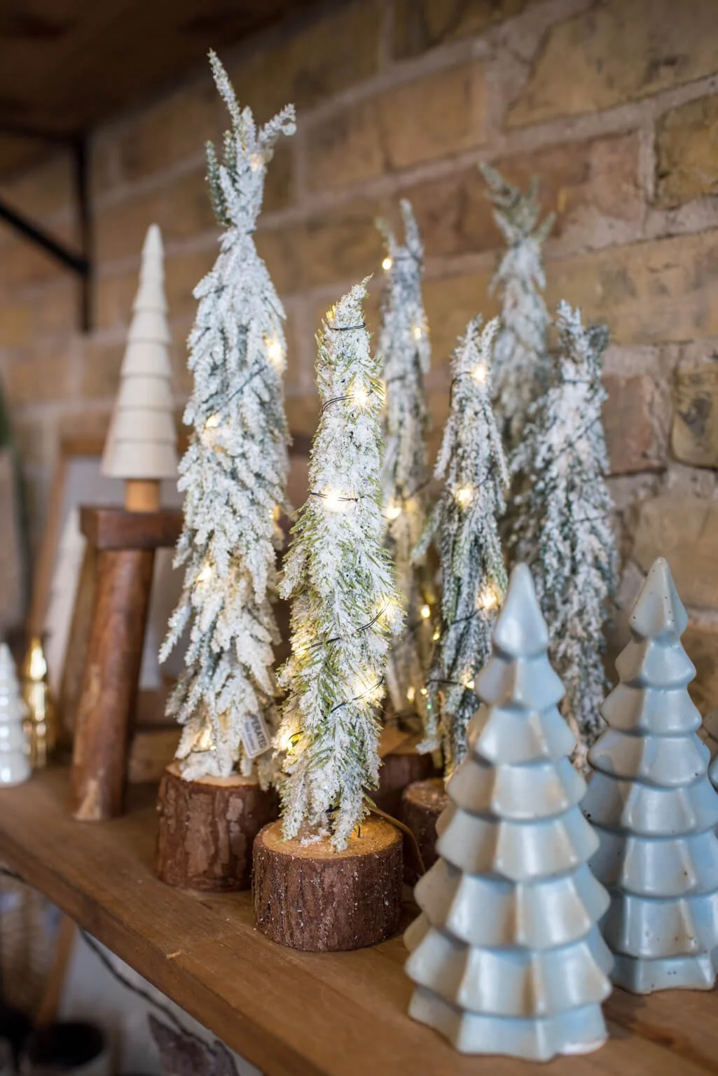 Willow and Oak Oct 2022-26.jpg