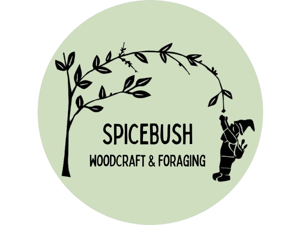 Spicebush Woodcraft and Foraging
