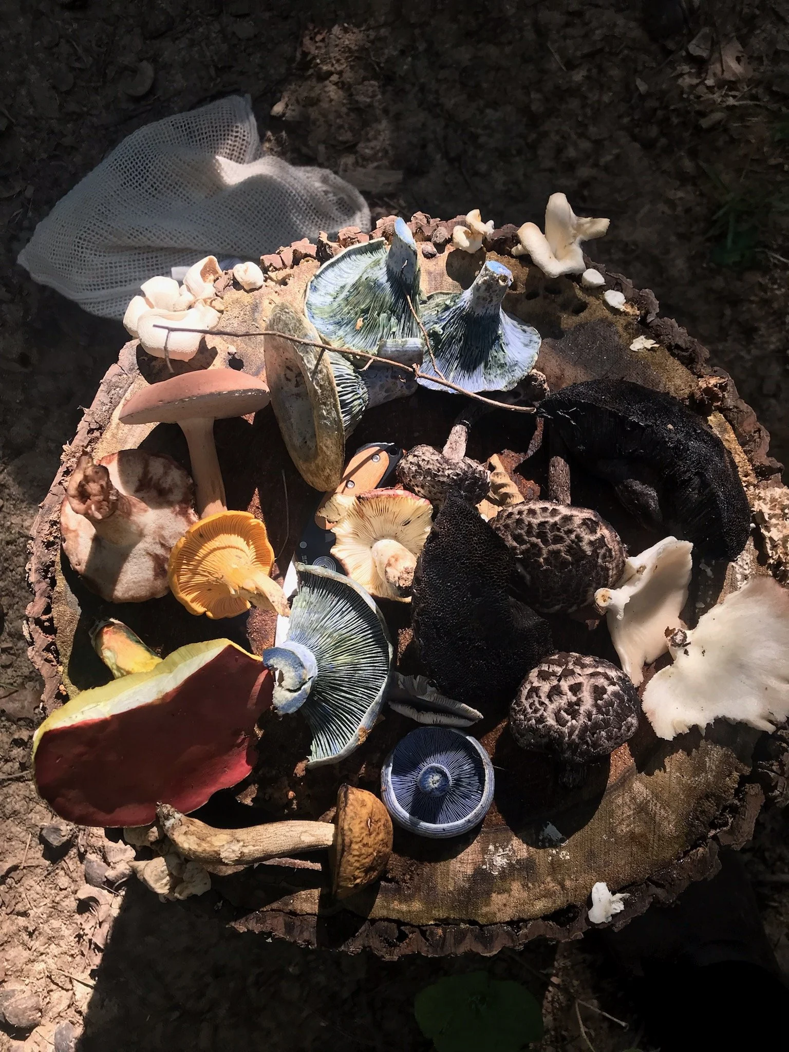 Spicebush Woodcraft and Foraging