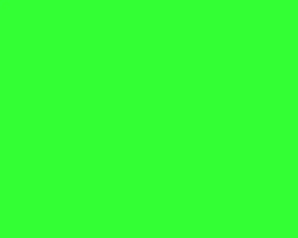 fond-vert.jpg