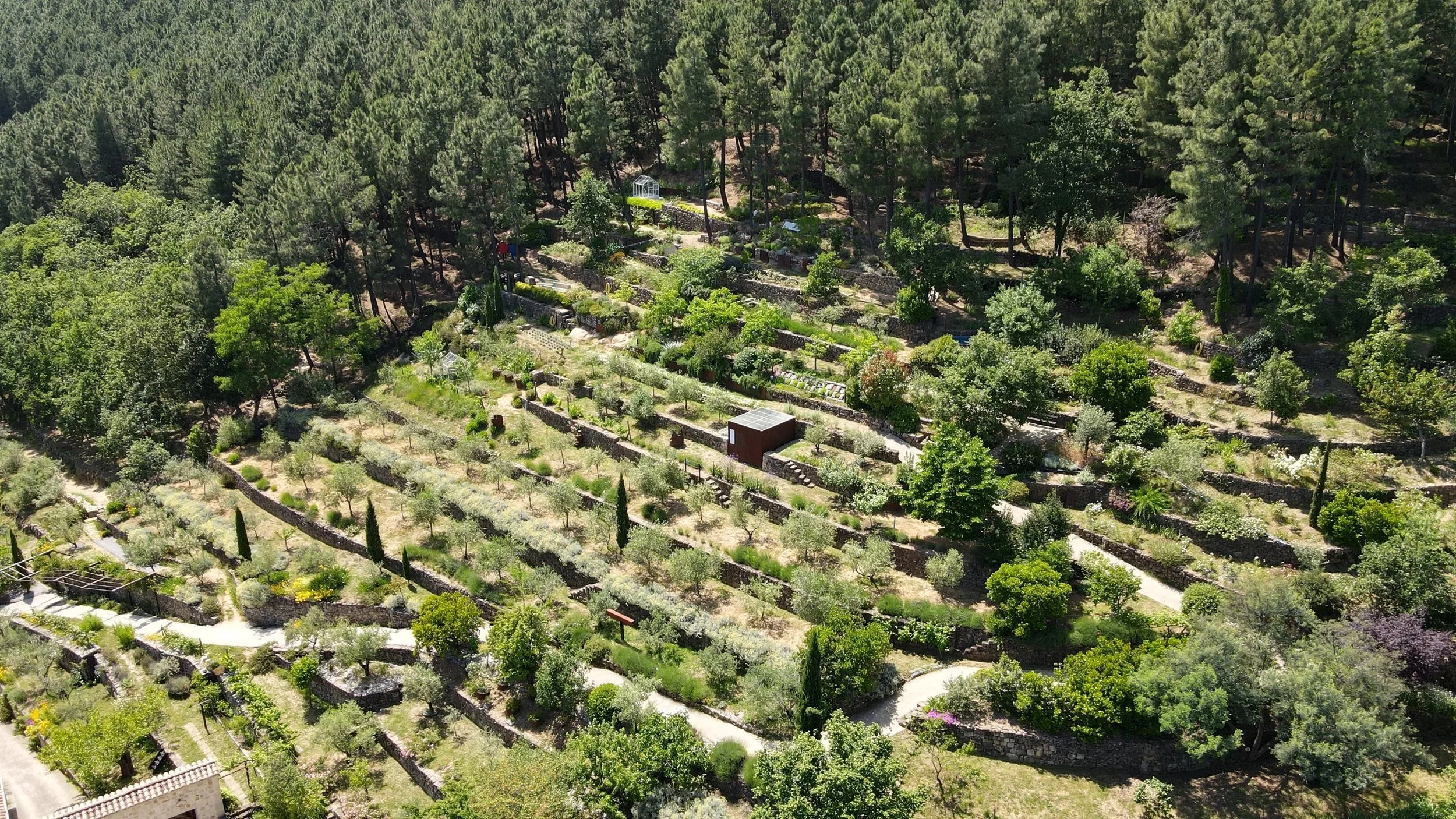 jardin mercurart.jpg