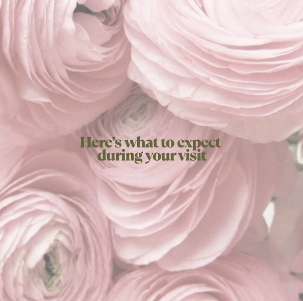 Screenshot 2025-04-15 at 11.24.02 PM.png