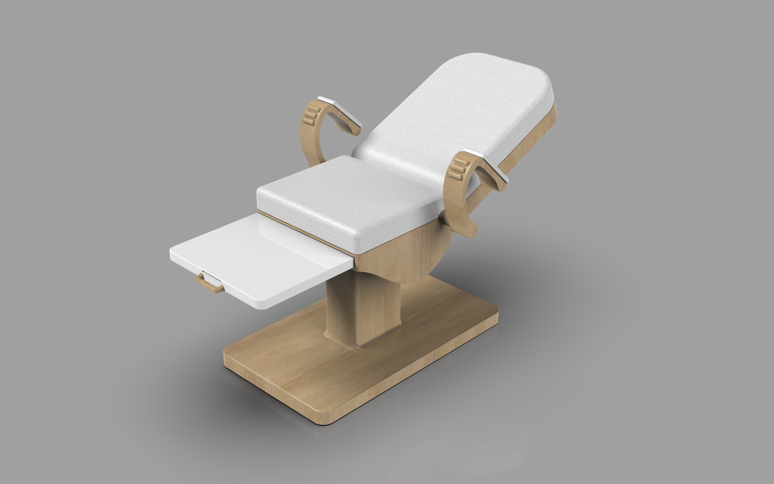 CHA CHA render 24.193.png