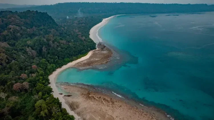 Aerial view of the beach and forest on Havelock Island, Andaman Islands