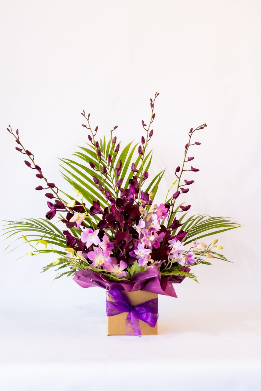 JFPBloominFlowers29Jul23-666.jpg
