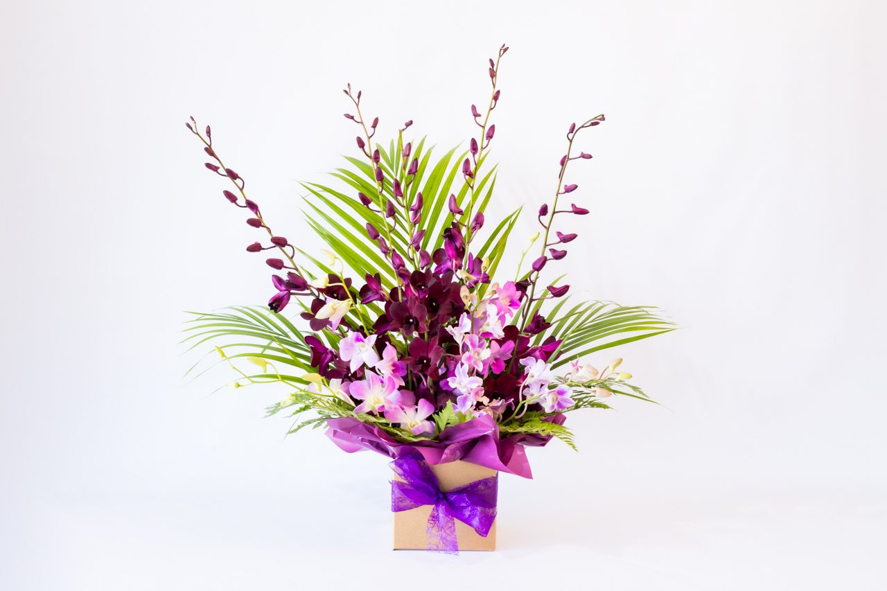 JFPBloominFlowers29Jul23-667-Edit.jpg
