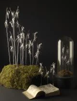 ARCHIVE Glass Orchids by glass artist Siobhan Healy