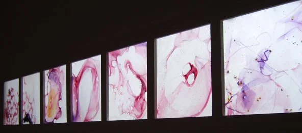 ARCHIVE Faculty of Art and Design JEP University Lecture