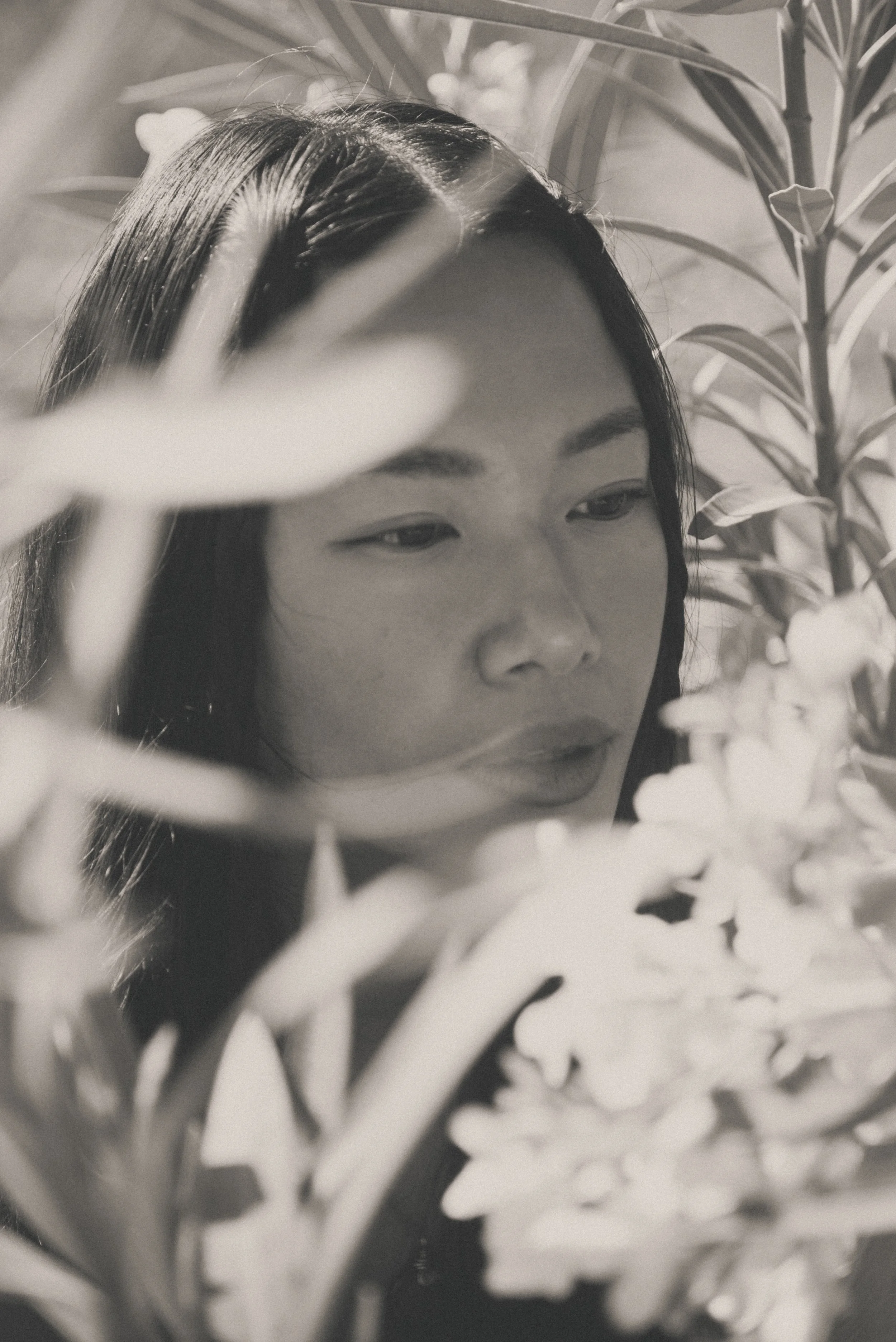 LIV Botanics Summer´24