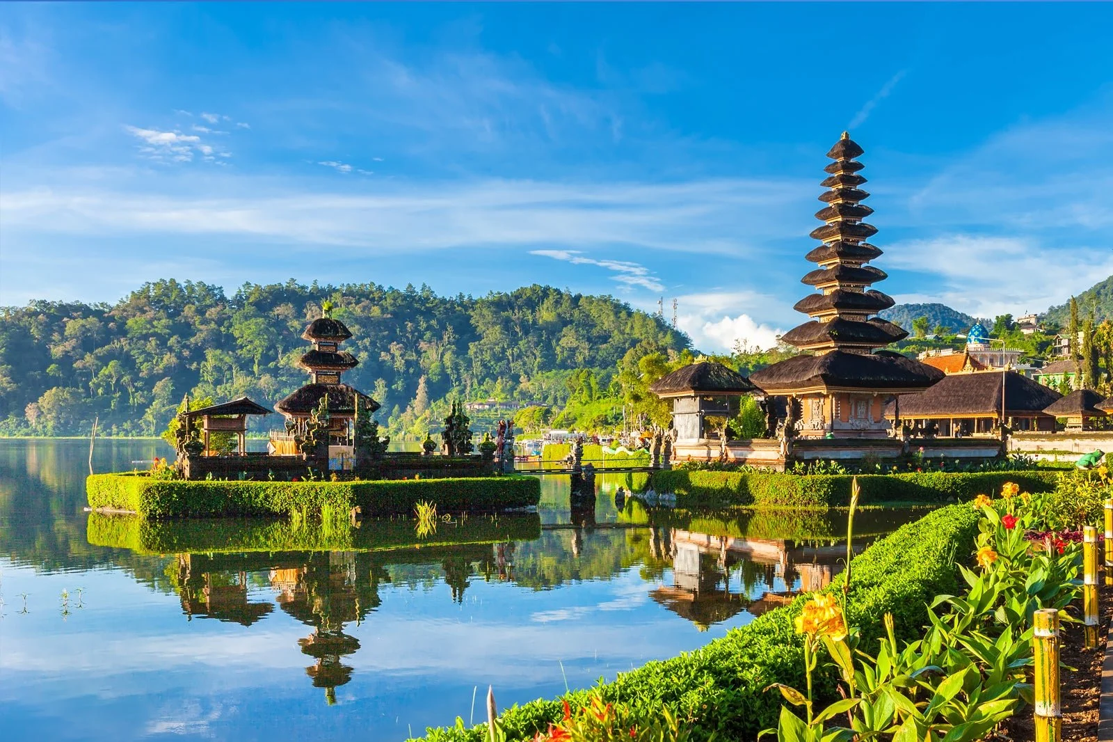 Preventing Mosquito-Borne Diseases in Bali: Tips for Protecting Yourself