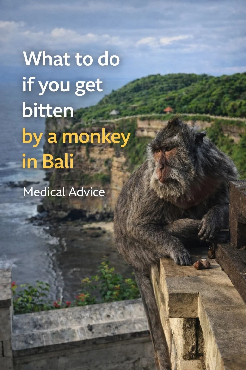 What To Do If You’re Bitten by a Monkey in Bali