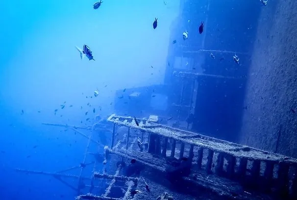 04_2_zenobia.jpg