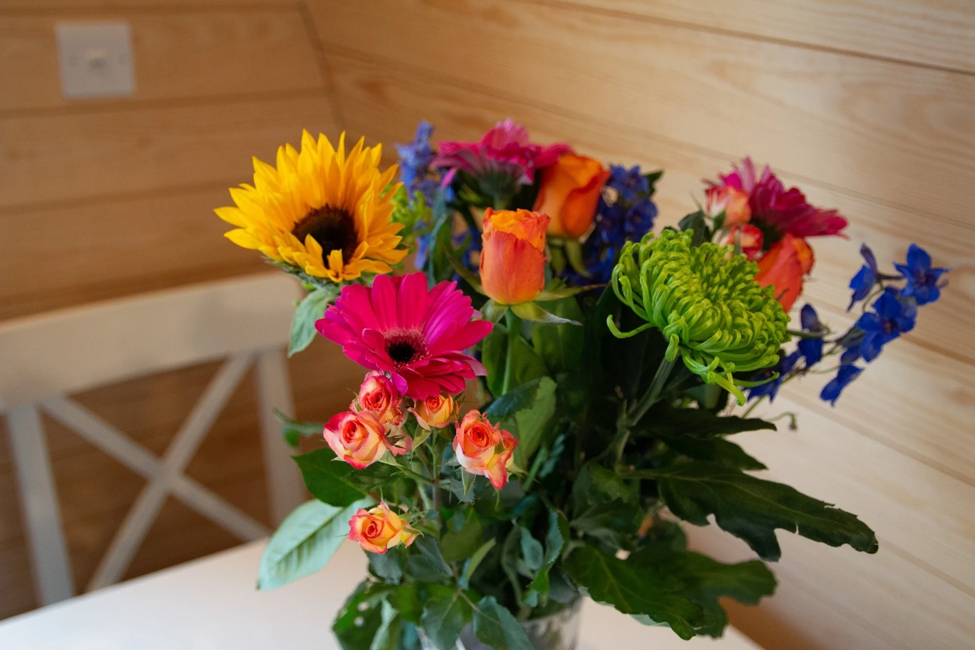 FindhornBayHolidayPark-EcoPodDinnerTable.jpg
