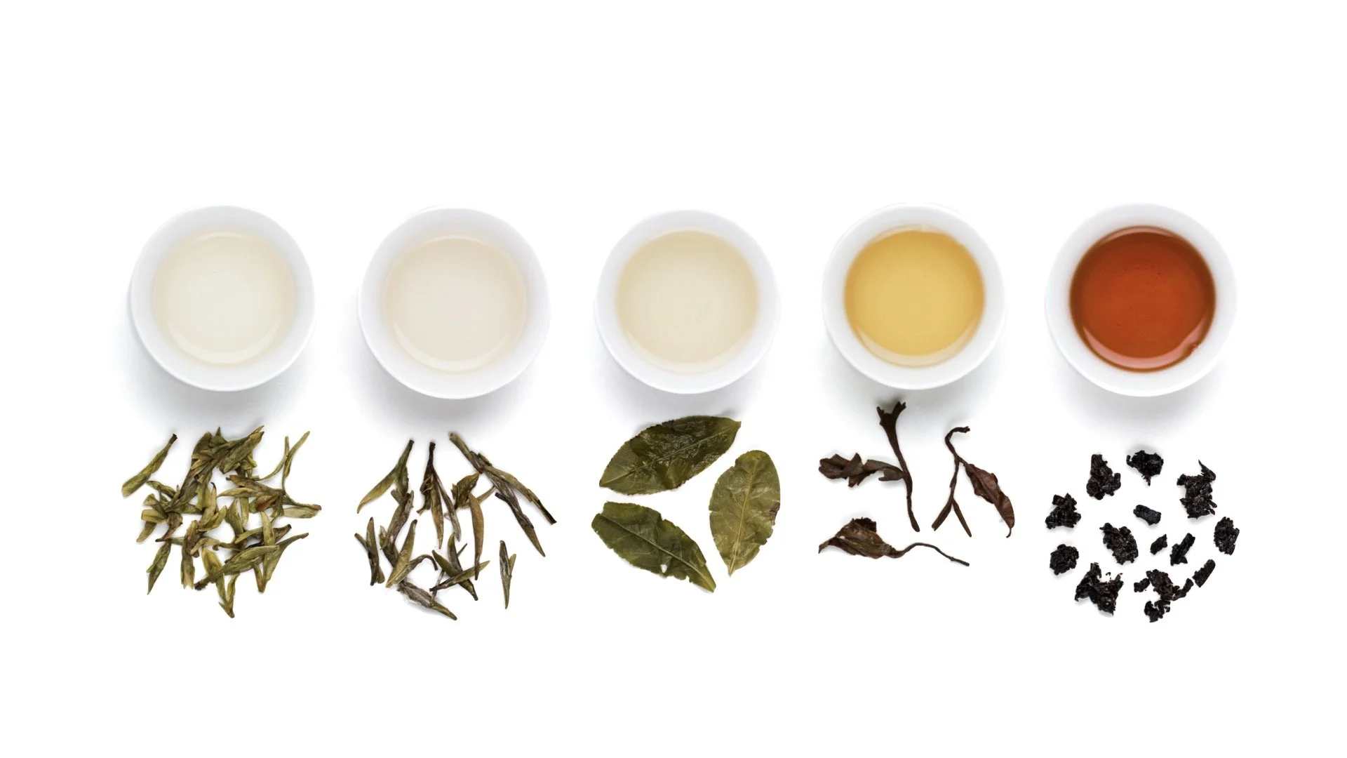 TeaAll3.jpg