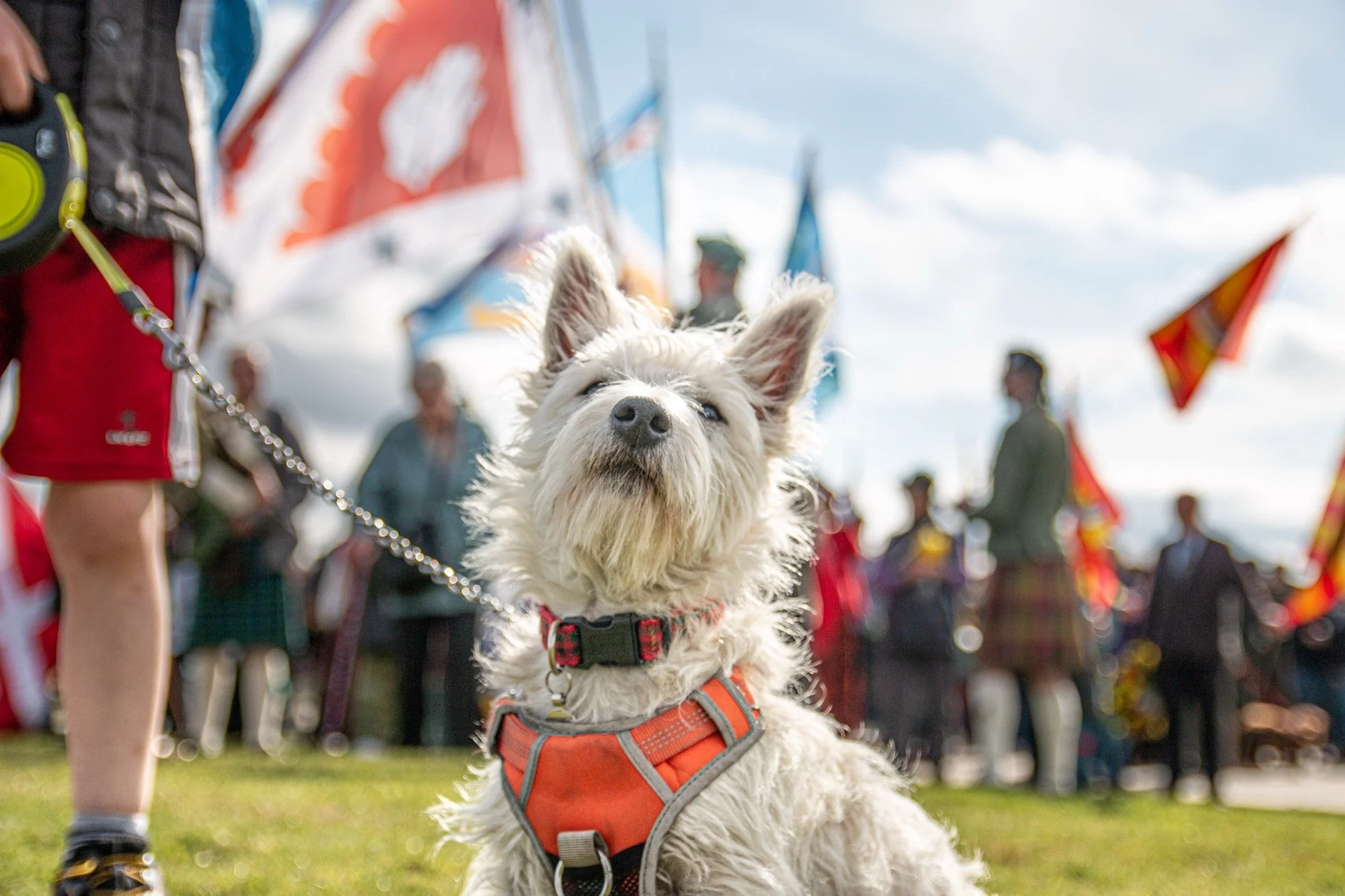 culloden-anniversary-2022-gathering-child-holding-dog-on-lead-with-flags-behind.jpg