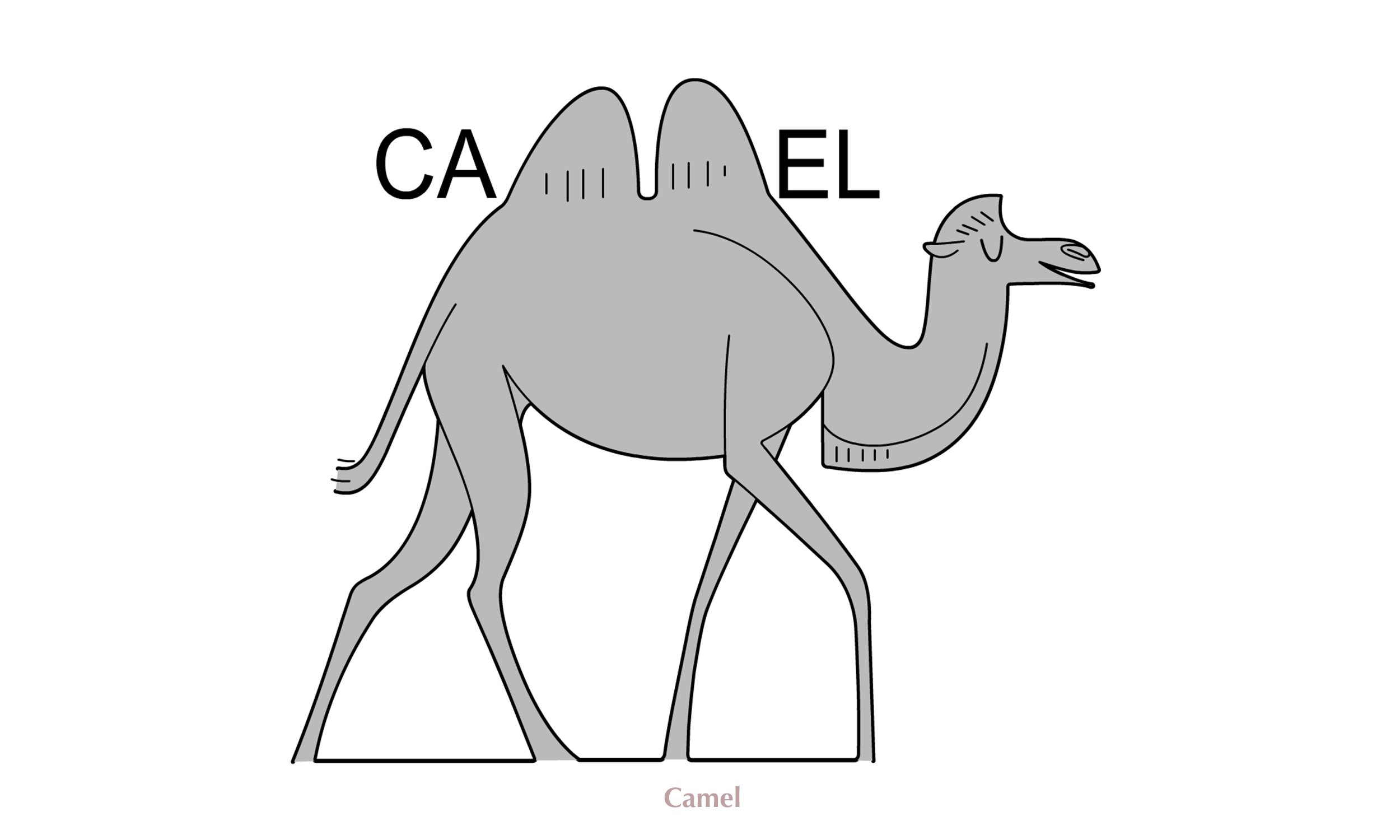 Camel.jpg