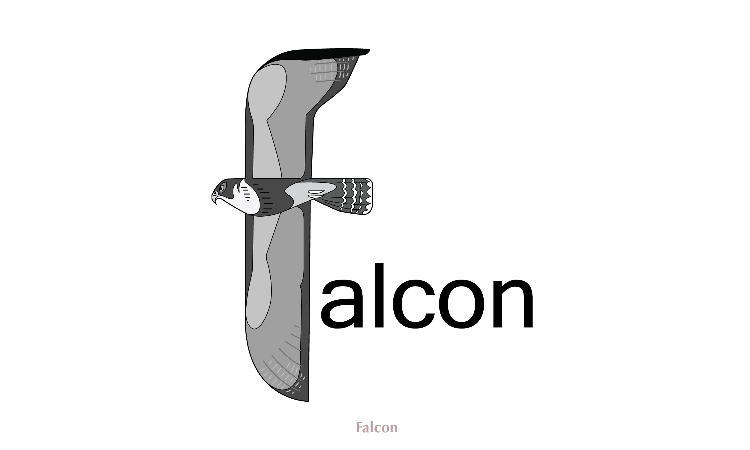 Falcon.jpg