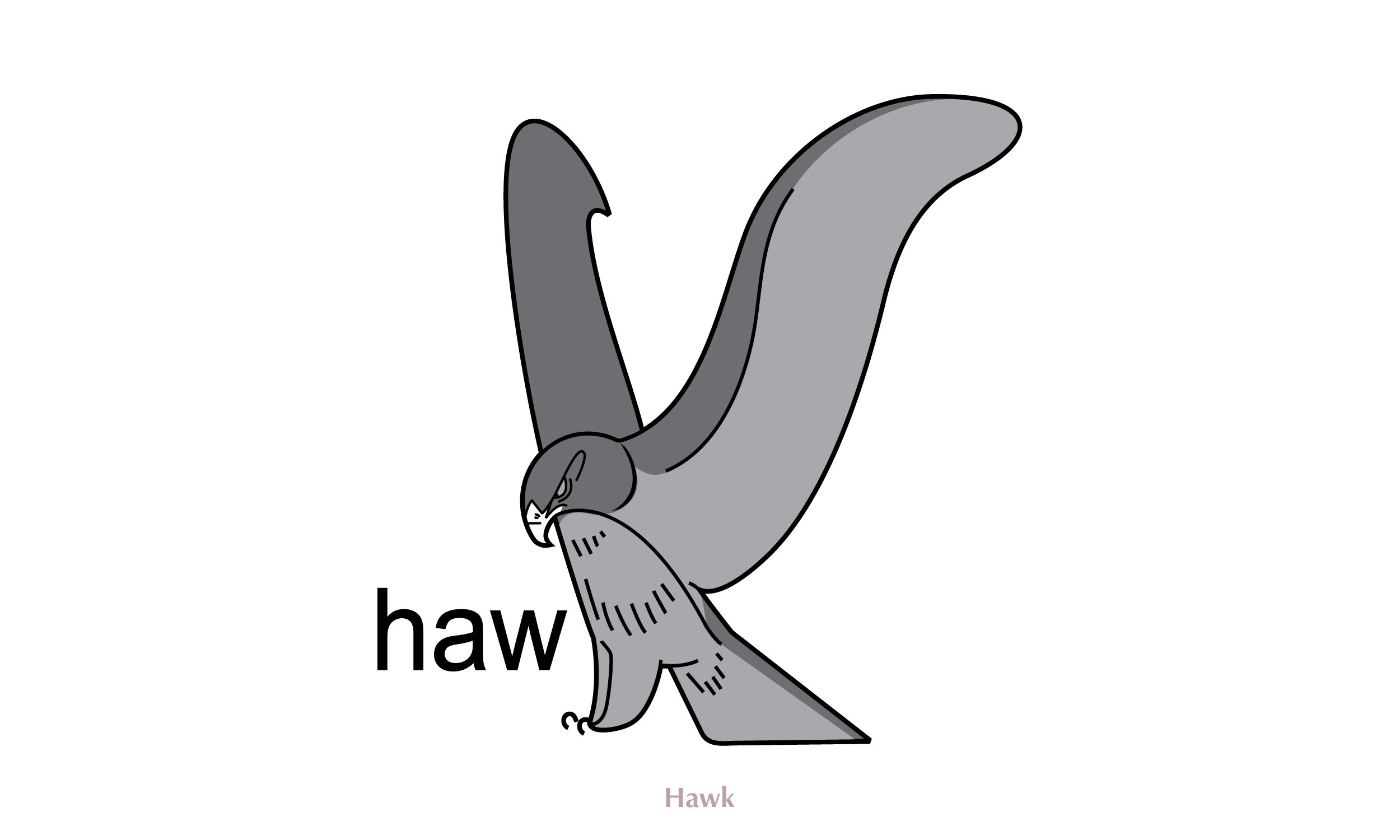 Hawk.jpg