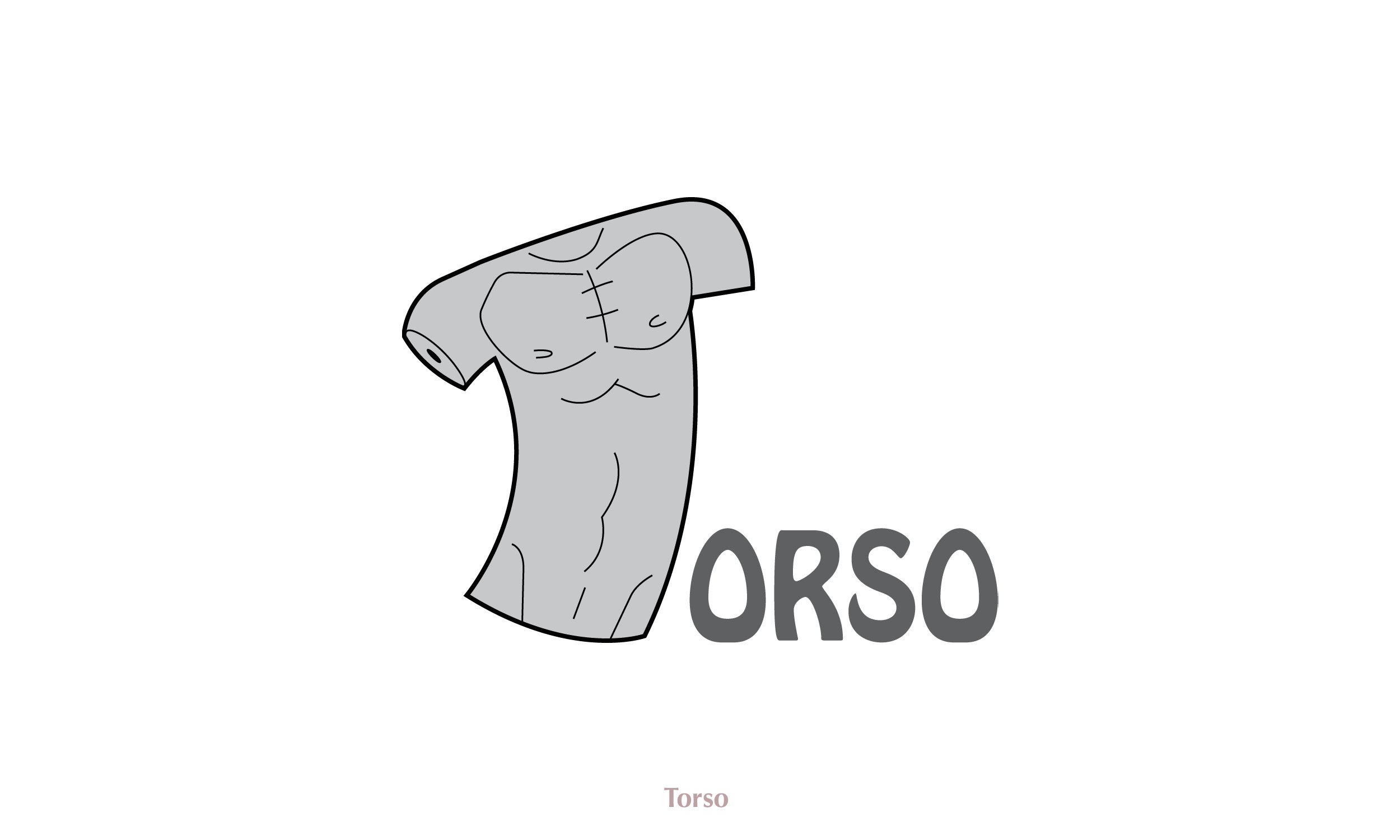 Torso.jpg