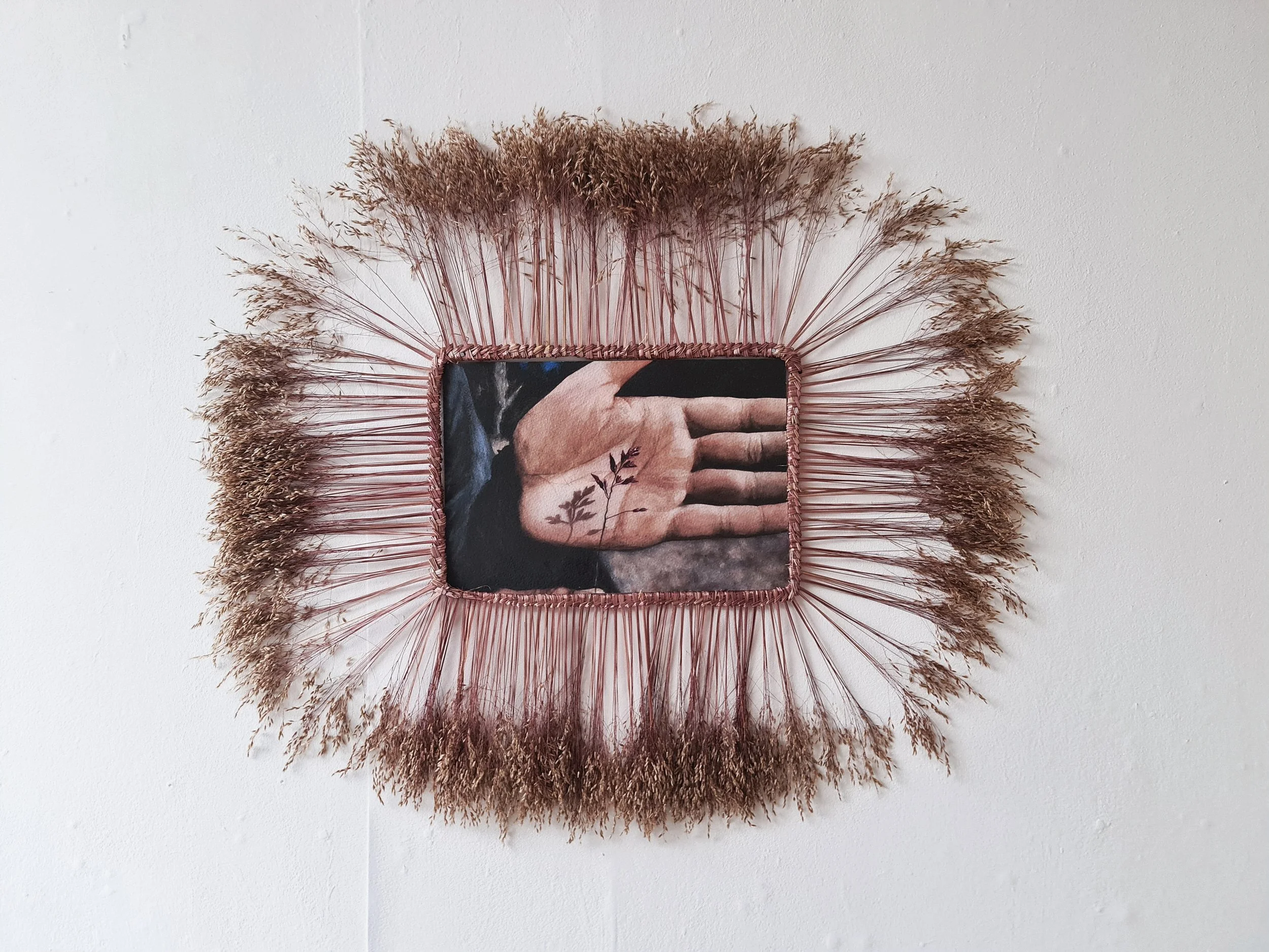 MONOLIT (INSTALLATION VIEW) - 2025 watercolor, frame on braided Deschampsia flexuosa