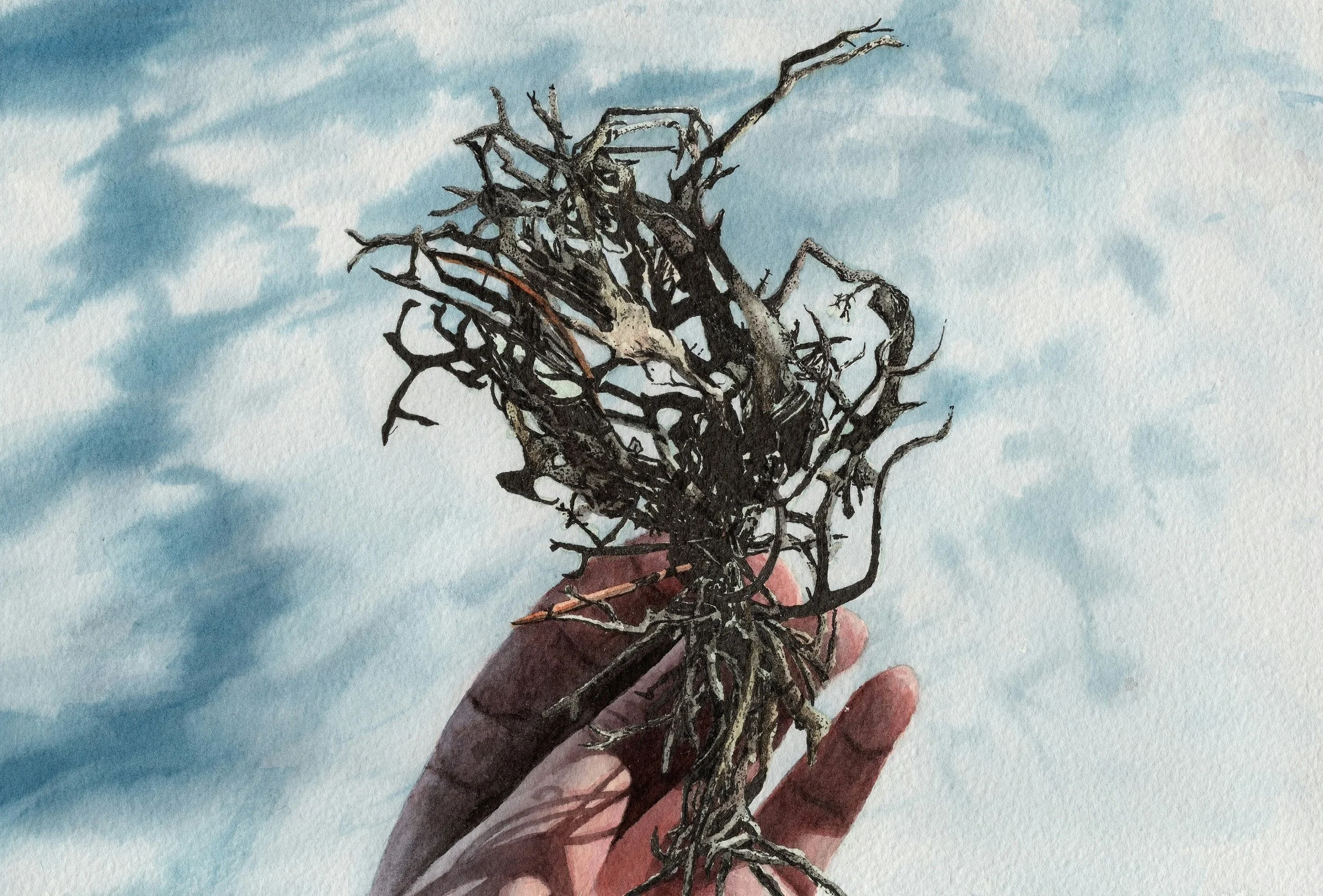 THE CLAW/KLÖSET - 2025 watercolor 20x30 cm