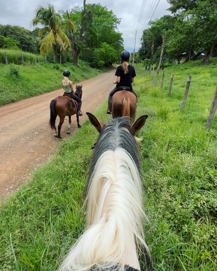 Afternoon hack with @elisa_h.d and @leilanibrigitte 🐎🌳
•
•
We love to incorporate trail rides into our lessons also - something different and fun for the students and also our horses! 🤩