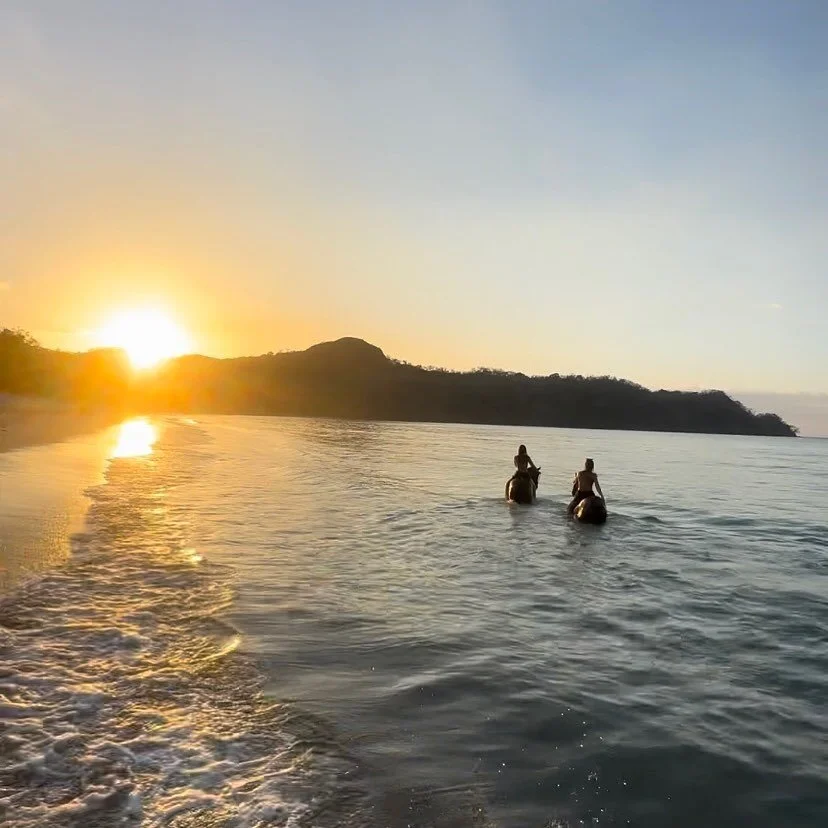 Our Sunset Tour is something special! Come join us and enjoy the last rays of the day, and a soft sea breeze to kiss your cheeks 🌅🐚🌊