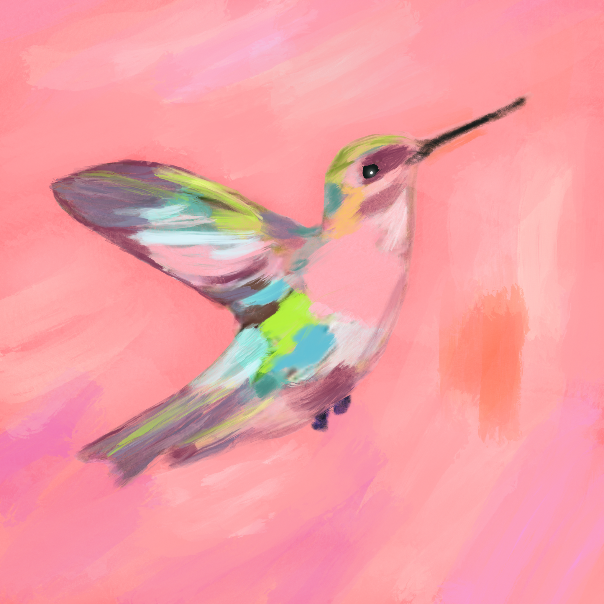 Beauty in Flight