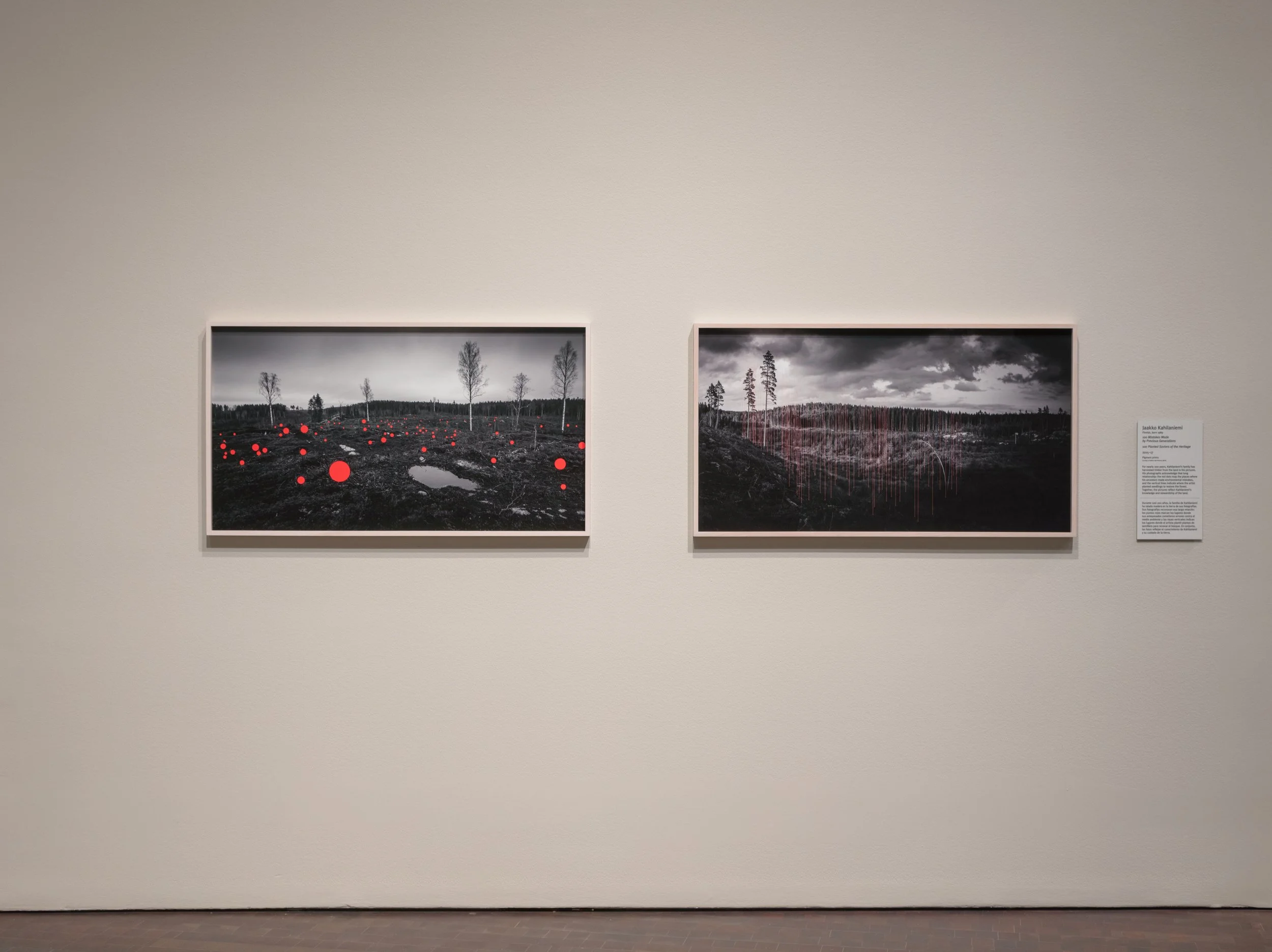 New Territory 38.jpg