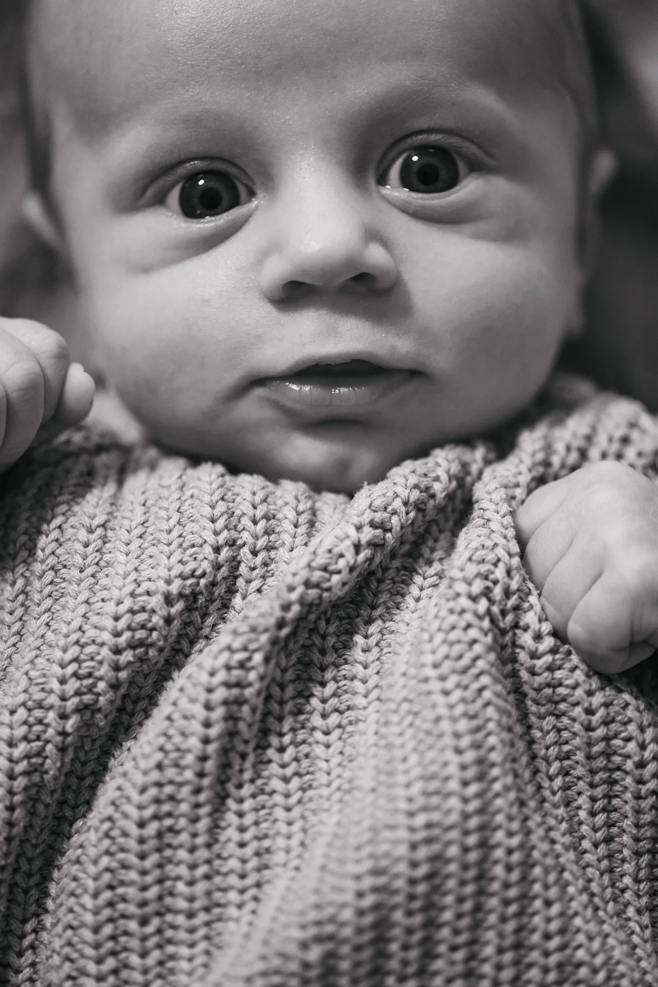 Franc_Newborn_WEB-4169.jpg