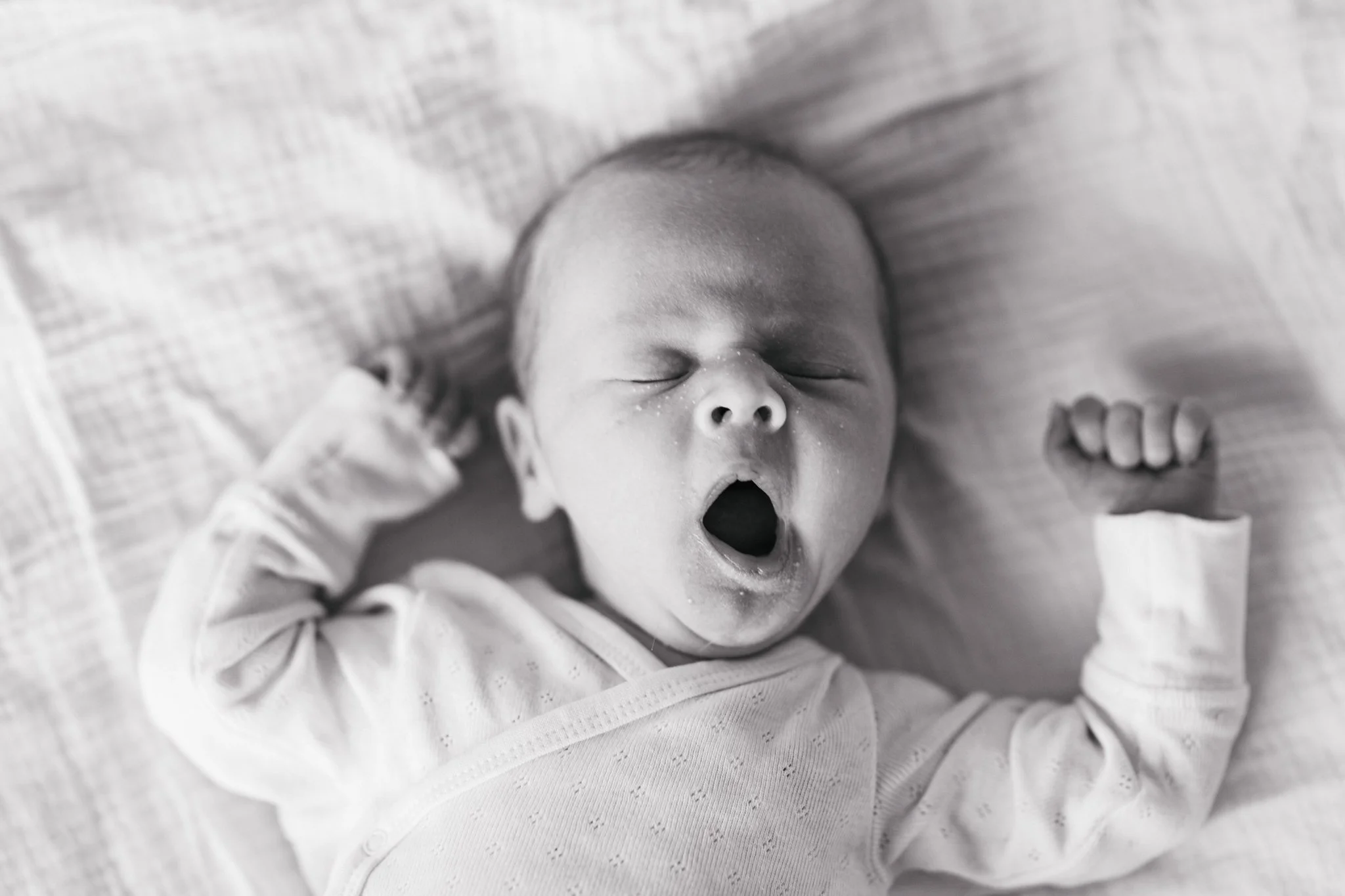 Klara_Järvenranta_Newborn_WEB_8691.jpg