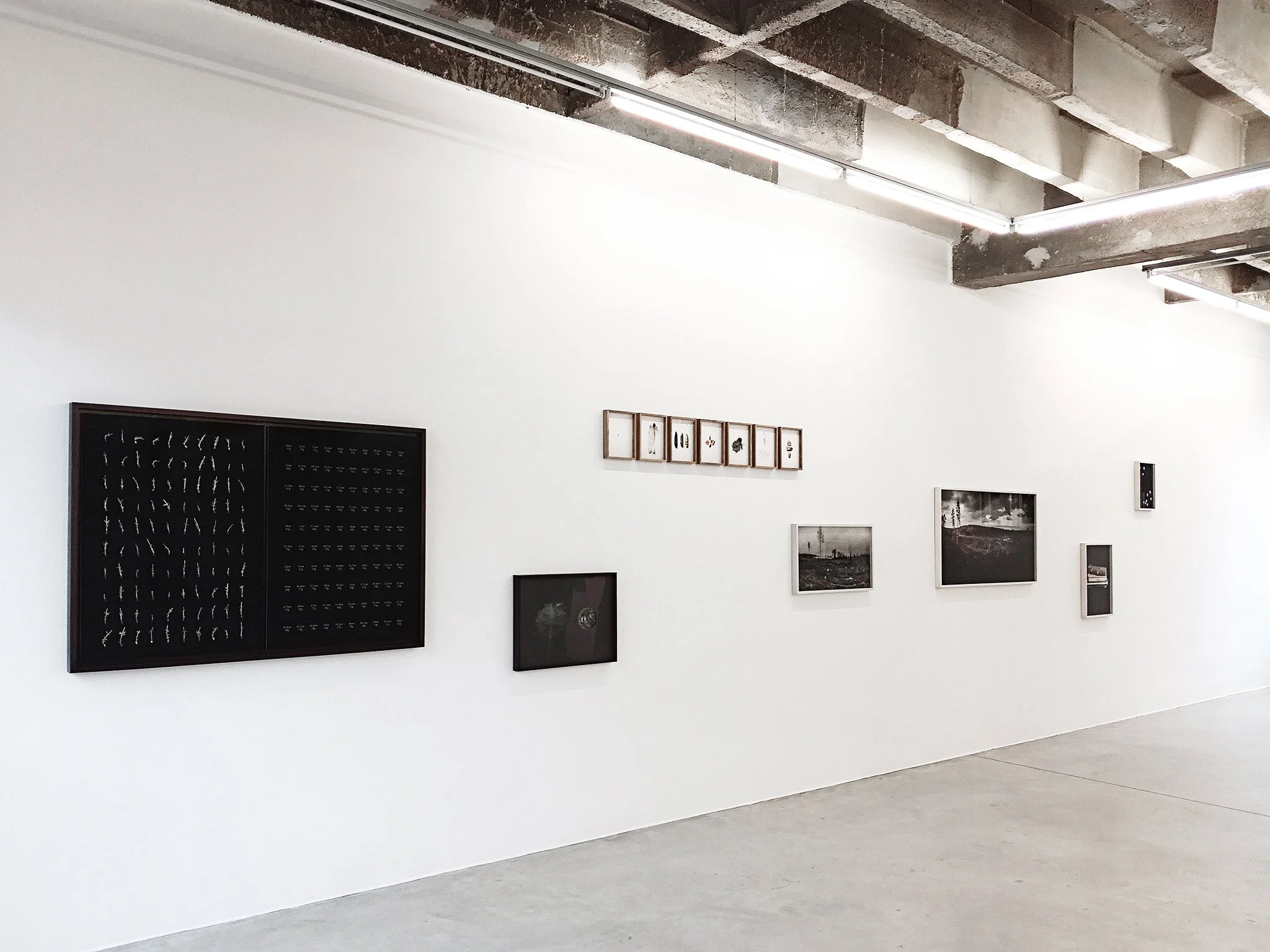 Marked Sites Installation 4_WEB.jpg