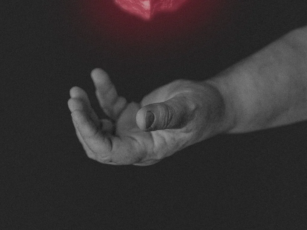 Anima_Mundi_2023.jpg