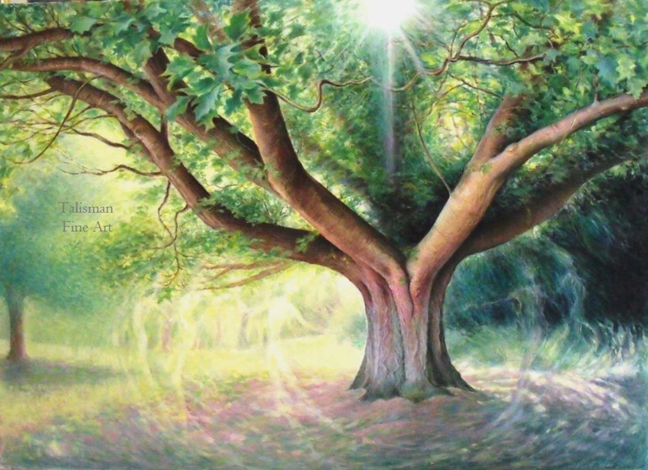 Paula_Meadows_Tree_Spirit_1.png