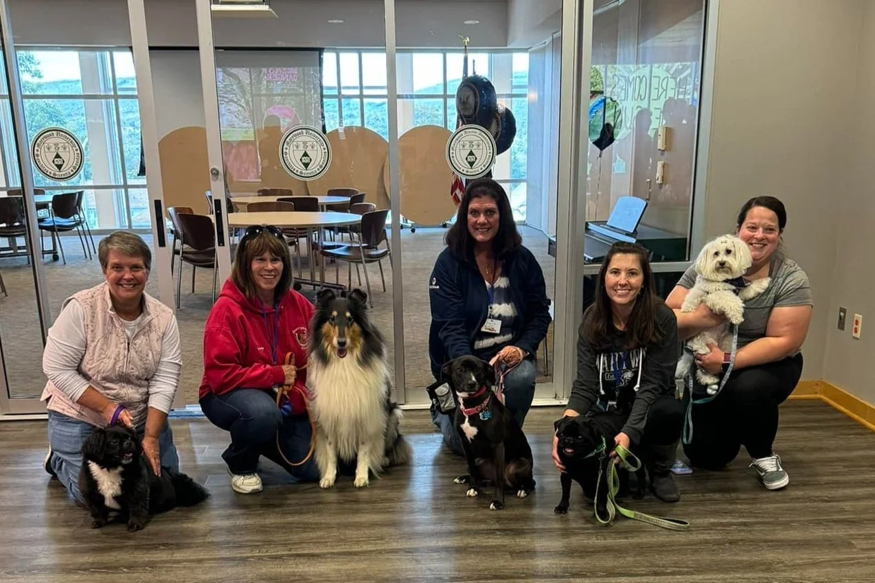 Kylo%2C+tux%2C+sparrow%2C+bubba%2C+and+marshmallow+at+Marywood.jpg